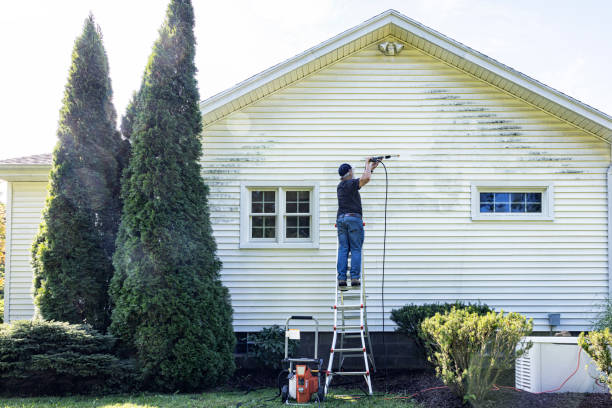 Best Dumpster Area Cleaning  in Nags Head, NC